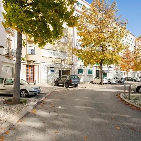 Youthful Design In By Cozzy Homes Lisbon